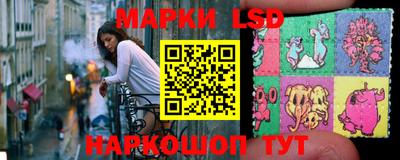 spice Гатчина