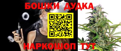 spice Гатчина