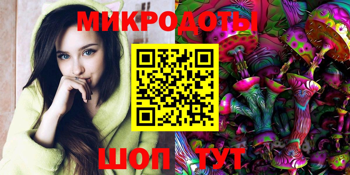 Псилоцибиновые грибы Cubensis Гатчина