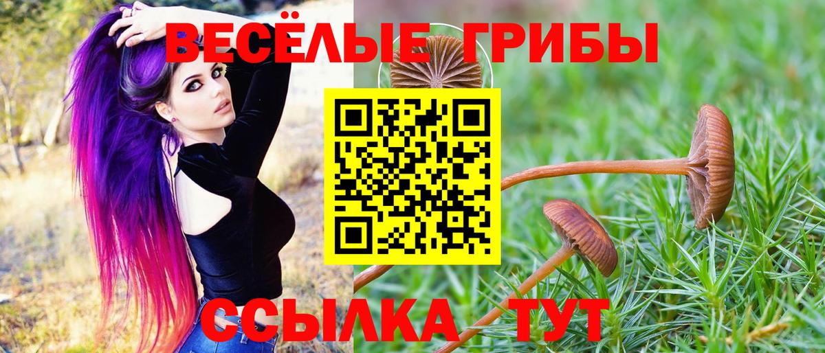 Галлюциногенные грибы мухоморы  Вход с VPN  закладка  Гатчина 